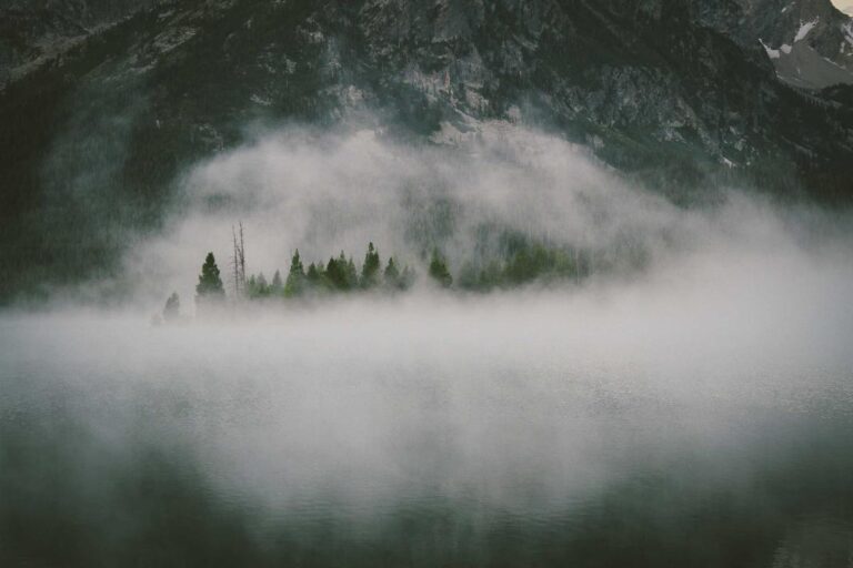 Featured image for post 17